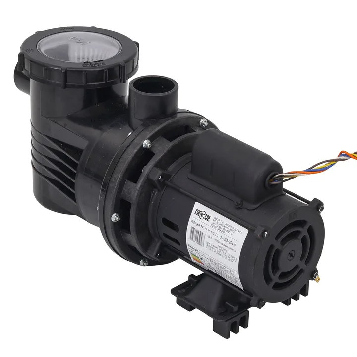 Bomba Autoescorvante para Piscina 30.000L 1/3CV Pratika PF-17 Dancor