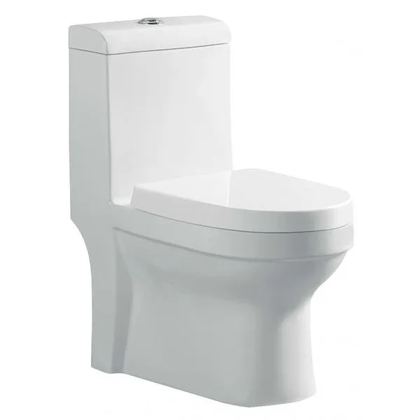 Vaso Sanitário Monobloco Reno R 300
