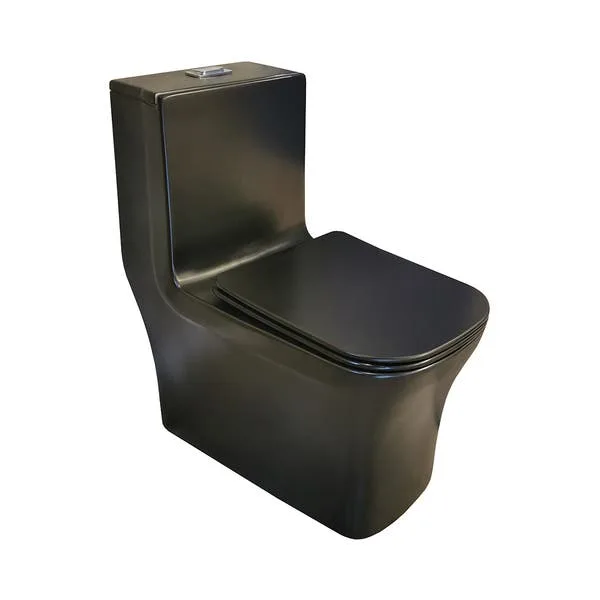 Vaso Sanitário Monobloco Preto R 450 Reno