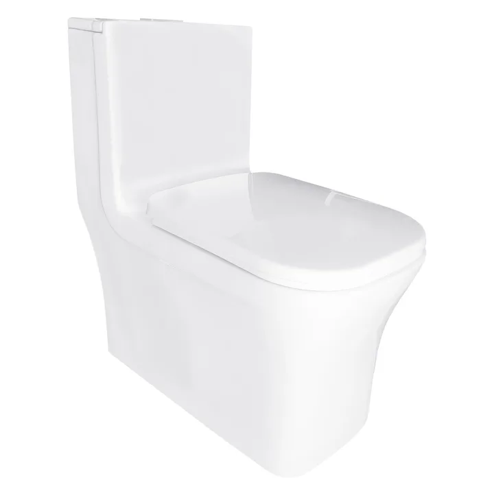 Vaso Monobloco Branco Com Assento Com Fechamento Suave R450